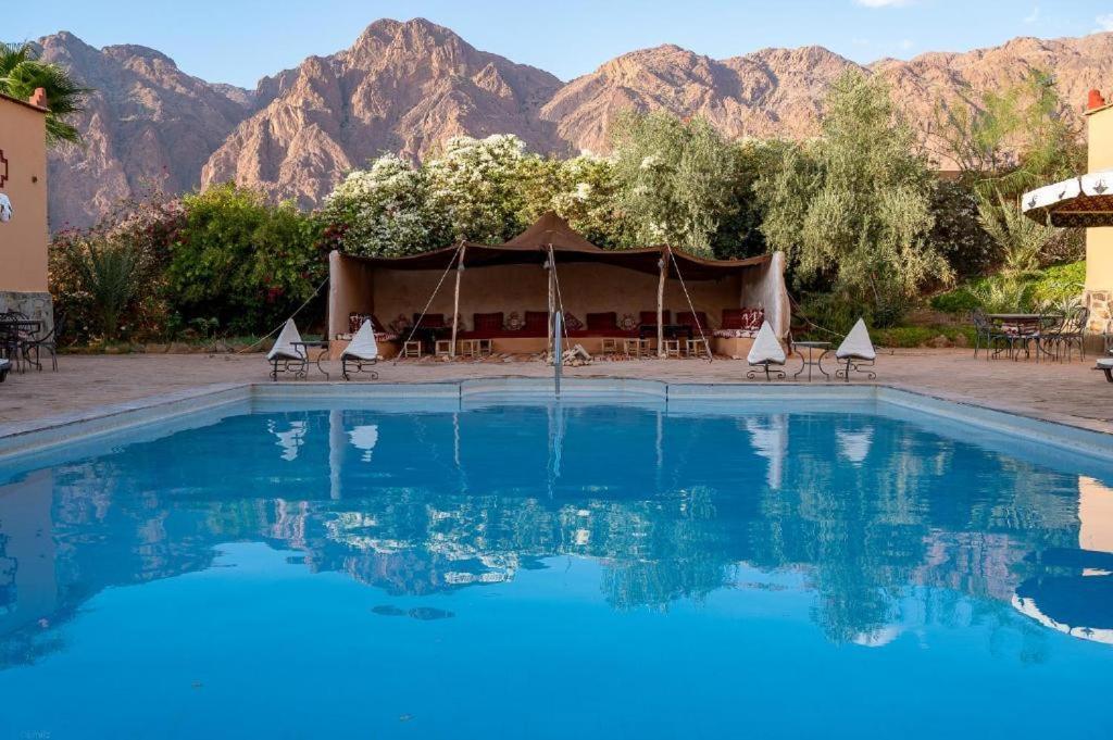 Click Excursions Tafraoute Hotel Taddart Eksteriør billede